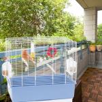 Ferplast Canary Bird Cage with Accessories and Feeders