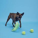 Barkbox Interactive Plush Dog Toy - Peas in a Pod