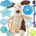 10-Piece Chew Toy Set for Small Dogs