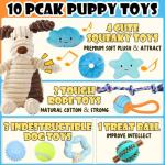 10-Piece Chew Toy Set for Small Dogs