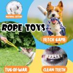 10-Piece Chew Toy Set for Small Dogs