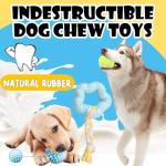10-Piece Chew Toy Set for Small Dogs
