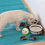 Pet Training Doorbells for Dogs and Cats