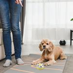 Pet Training Doorbells for Dogs and Cats
