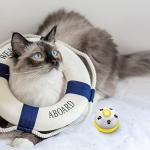 Pet Training Doorbells for Dogs and Cats