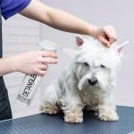 Wahl Dog Detangler Spray for Matted Fur