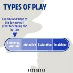 Rosewood Battersea Catnip Fish Toy Set