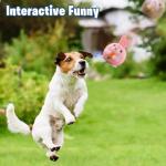 Interactive Plush Pig Toy for Dogs and Cats