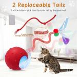 Sentoo Interactive Chirping Cat Ball Toy