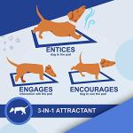 Large Leakproof Puppy Pads - 100 Pack