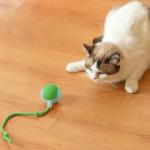 Motion Activated Interactive Cat Ball Toy (Green)