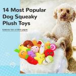 Cute Plush Squeaky Dog Toys - 14 Pack