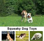 Cute Plush Squeaky Dog Toys - 14 Pack