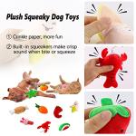 10 Pack Cute Squeaky Plush Dog Toys