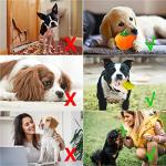 10 Pack Cute Squeaky Plush Dog Toys