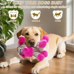 Soft Squeaky Plush Dog Toy for Small Dogs
