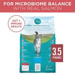 Purina ONE Salmon Tender Selects Dry Cat Food