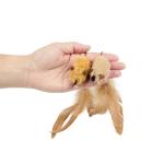 Feather Tail Mice Plush Cat Toys - 2 Pack