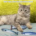 Catnip Fish Toys for Cats - 3 Pack