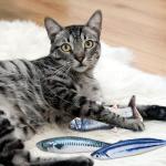 Catnip Fish Toys for Cats - 3 Pack