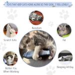 Catnip Fish Toys for Cats - 3 Pack