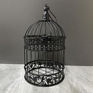 Decorative Iron Bird Cage for Indoor/Outdoor Decor