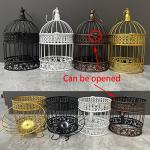 Decorative Iron Bird Cage for Indoor/Outdoor Decor