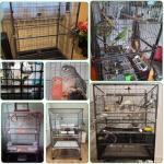 Large Bird Cage with Wheels and Accessories