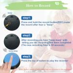 Dog Communication Buttons - Set of 4 Recordable