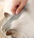 Dog Grooming Scissors Set with Safety Tips