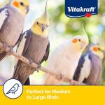 Vitakraft Tropical Fruit Treats for Parrots