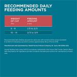 Purina ONE Salmon Tender Selects Dry Cat Food