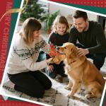 Christmas Reindeer Dog Toy with Squeaker & Crinkle Ears