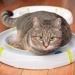 Ferplast TYPHON Interactive Cat Teaser Toy