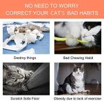 Bojafa Catnip Plush Toys for Indoor Cats - 3 Pack