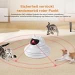 Forzaforte 4-in-1 Interactive Cat Toy