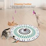 Forzaforte 4-in-1 Interactive Cat Toy