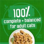 Purina Friskies Indoor Cat Food Variety Pack