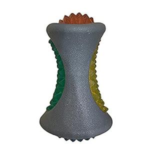 Rosewood Jolly Doggy Throw and Flash Dog Toy