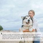 Stainless Steel Flea and Lice Grooming Combs