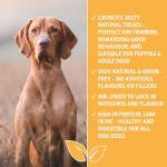 UPRAW Natural Turkey Dog Training Treats, 1kg