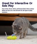 Magic Mightie Mouse Catnip Toy for Cats