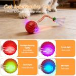 Interactive USB Rechargeable Cat Ball Toy