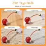 Interactive USB Rechargeable Cat Ball Toy