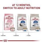 Royal Canin Indoor Adult Dry Cat Food 7lb