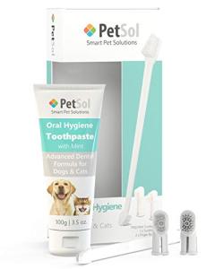 PetSol Dental Care Kit for Dogs and Cats