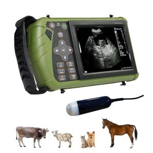 Portable Vet Ultrasound Scanner for Pets