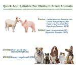 Portable Vet Ultrasound Scanner for Pets