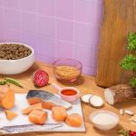 Pooch & Mutt Grain-Free Salmon Sweet Potato Dog Food