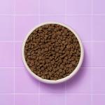 Pooch & Mutt Grain-Free Salmon Sweet Potato Dog Food